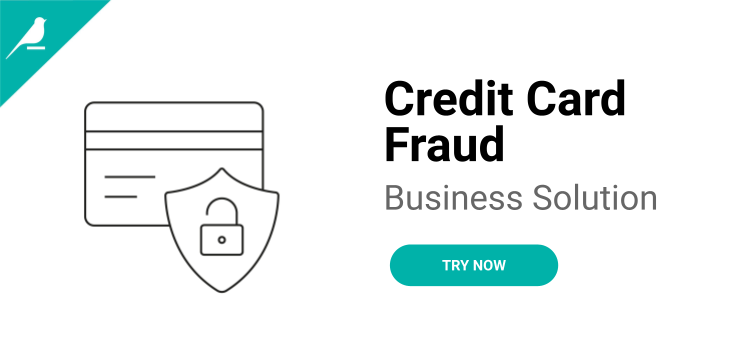 Credit Card Fraud.png